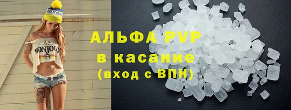 стаф Алзамай