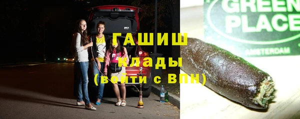 стаф Алзамай
