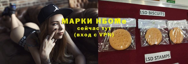 стаф Алзамай