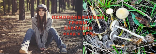 кокс Алексин