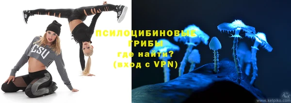 стаф Алзамай