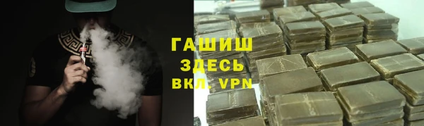 стаф Алзамай