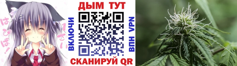маркетплейс наркотические препараты  Когалым  Марихуана индика 